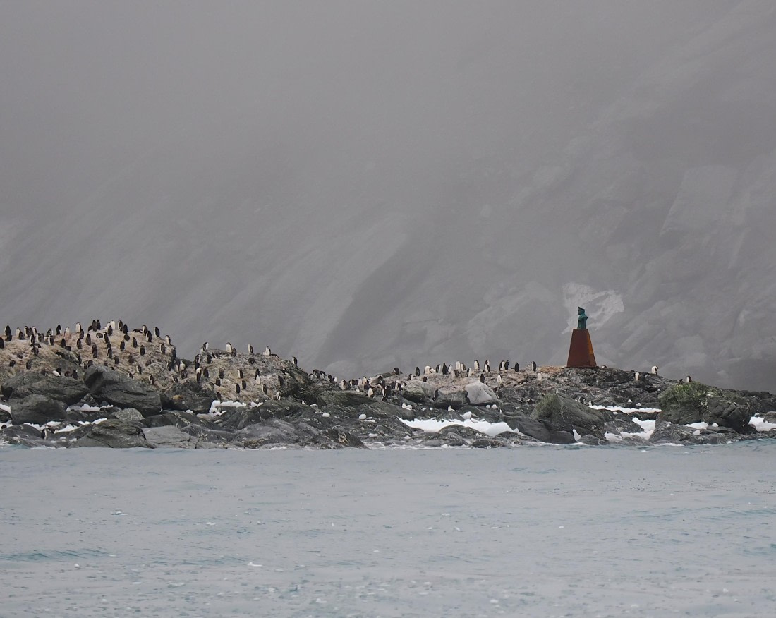 HDS29-26, Day 13, 2025-02-28 Point Wild - Elephant Island1 © Unknown photographer - Oceanwide Expeditions.JPG