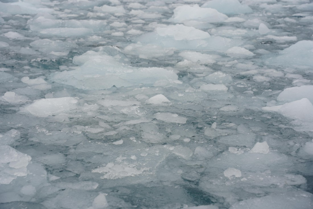 HDS29-26, Day 13, DSC09048 © Jessica Bakker - Oceanwide Expeditions.JPG