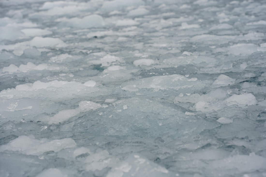 HDS29-26, Day 13, DSC09049 © Jessica Bakker - Oceanwide Expeditions.JPG