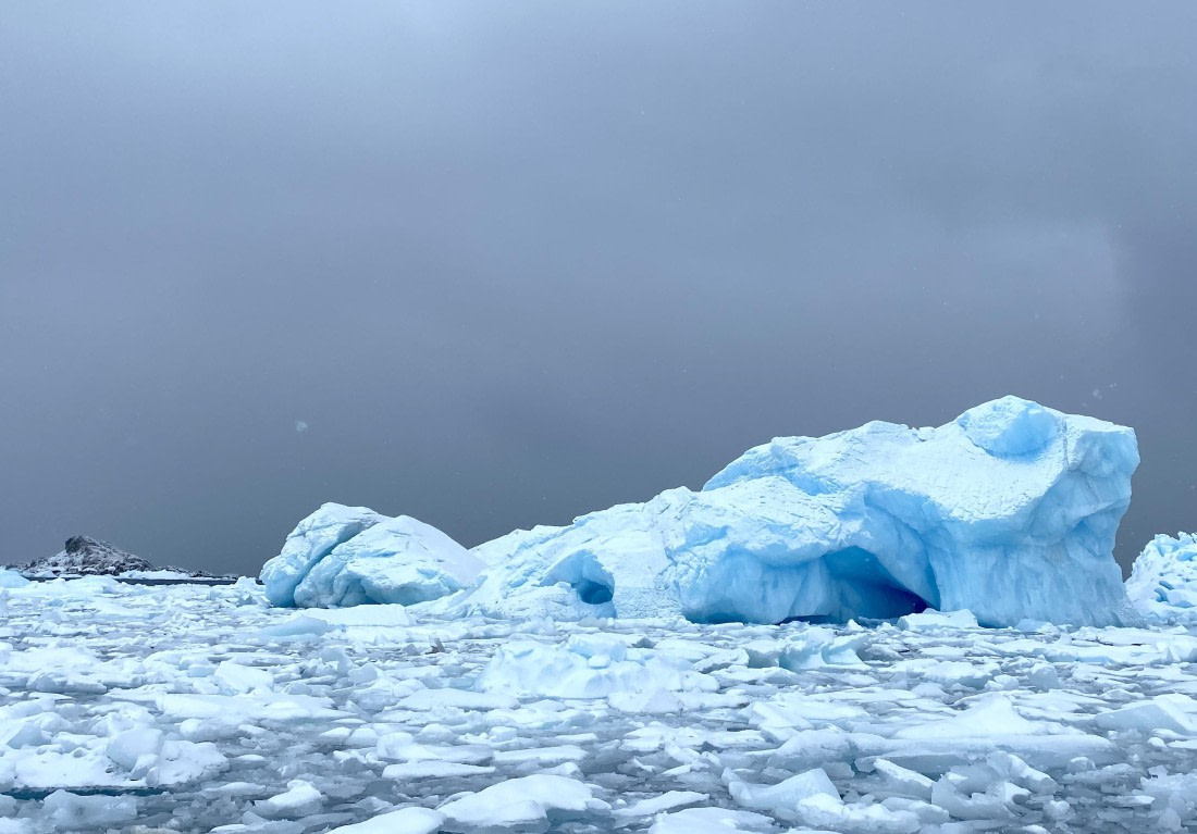 HDS29-26, Day 14, 2026-03-01 Ice - Kinnes Cove © Unknown photographer - Oceanwide Expeditions.JPG