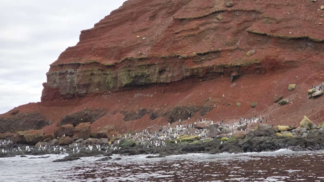 HDS29-26, Day 15, 20260302_171913 © Unknown photographer - Oceanwide Expeditions.jpg