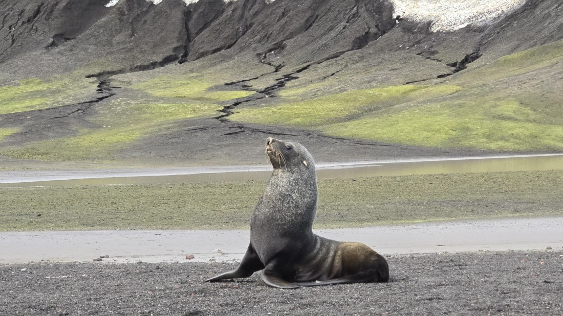 HDS29-26, Day 15, 20260302_174901 © Unknown photographer - Oceanwide Expeditions.jpg