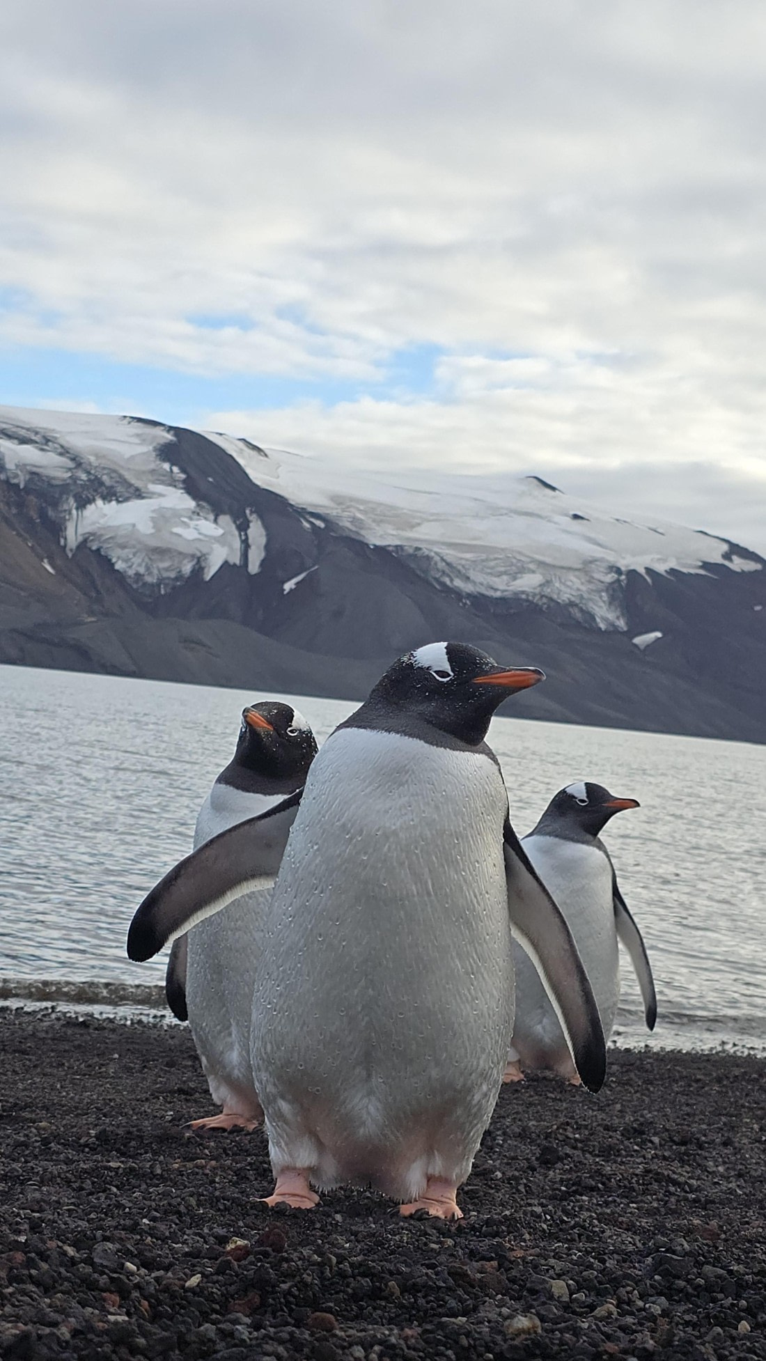 HDS29-26, Day 15, 20260302_175340 © Unknown photographer - Oceanwide Expeditions.jpg