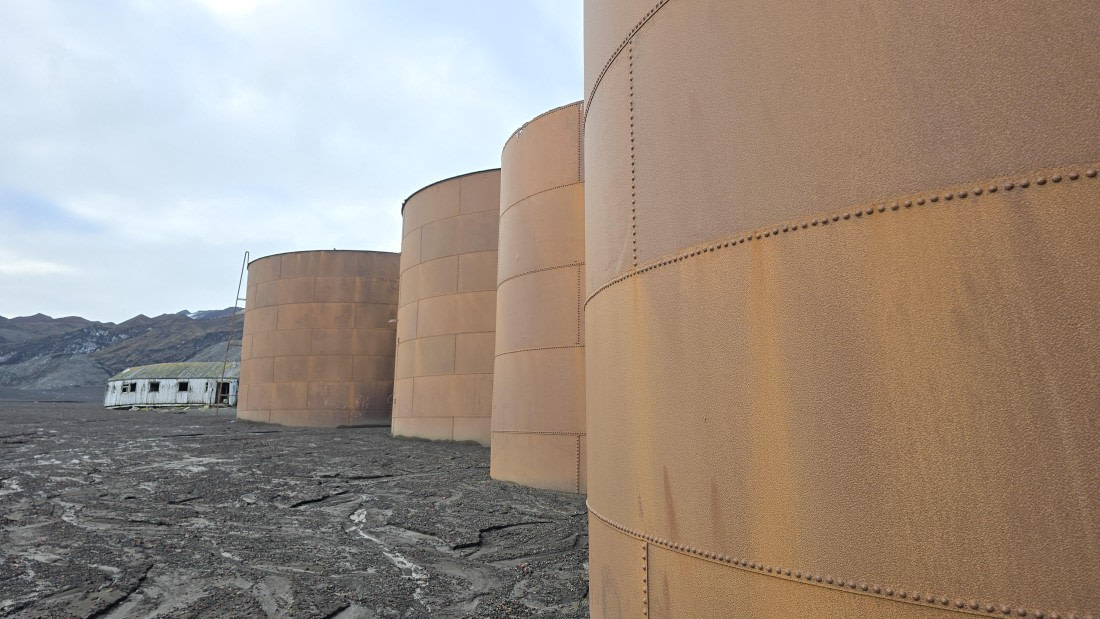 HDS29-26, Day 15, 20260302_175818 © Unknown photographer - Oceanwide Expeditions.jpg