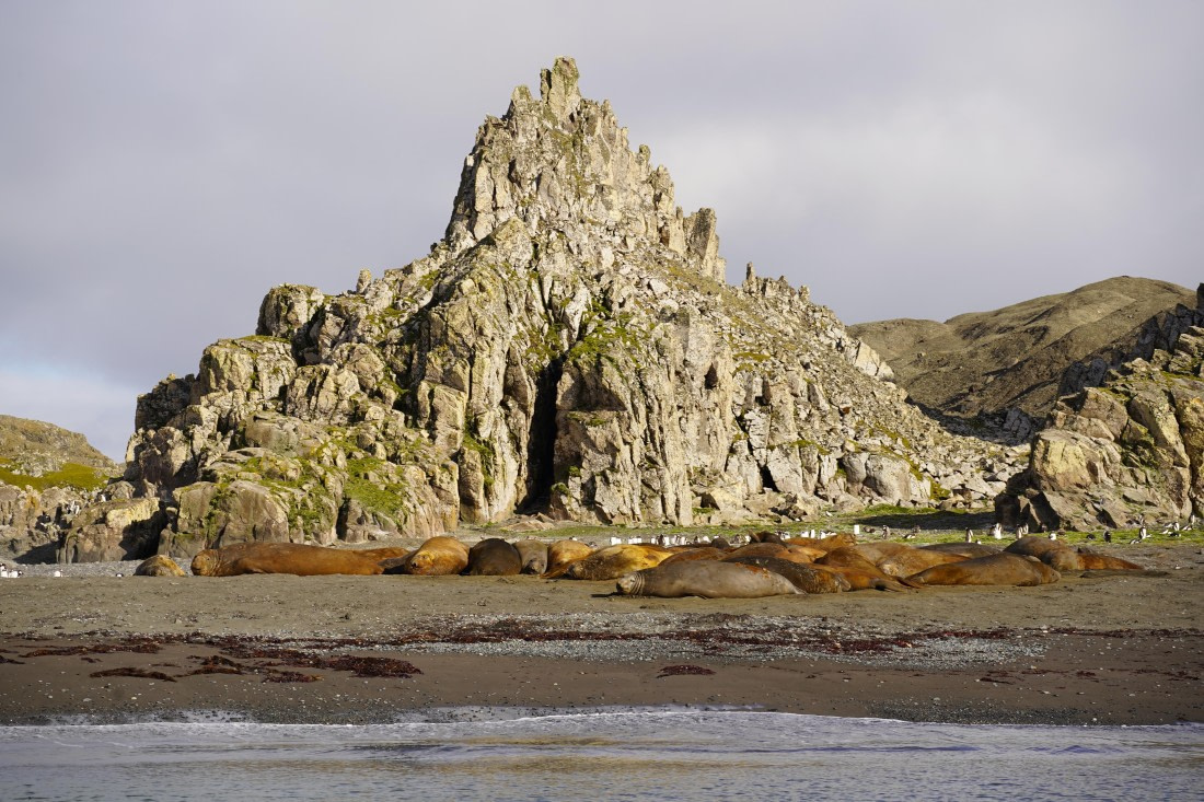 HDS29-26, Day 15, DSC09453 © Jessica Bakker - Oceanwide Expeditions.JPG