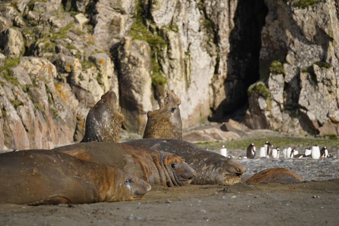HDS29-26, Day 15, DSC09490 © Jessica Bakker - Oceanwide Expeditions.JPG