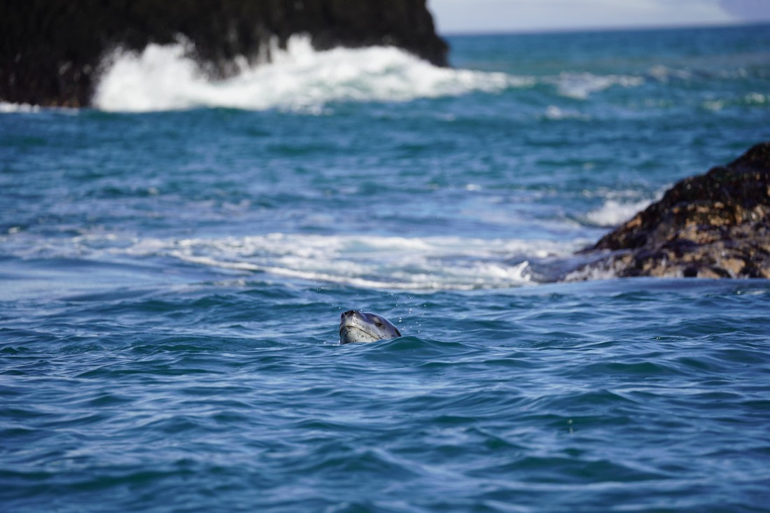 HDS29-26, Day 15, DSC09727 © Jessica Bakker - Oceanwide Expeditions.JPG