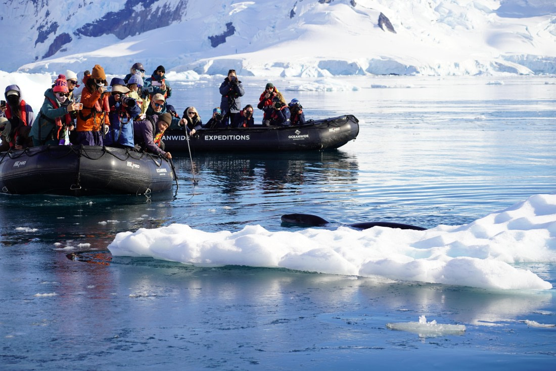 HDS29-26, Day 16, DSC00725 © Jessica Bakker - Oceanwide Expeditions.JPG