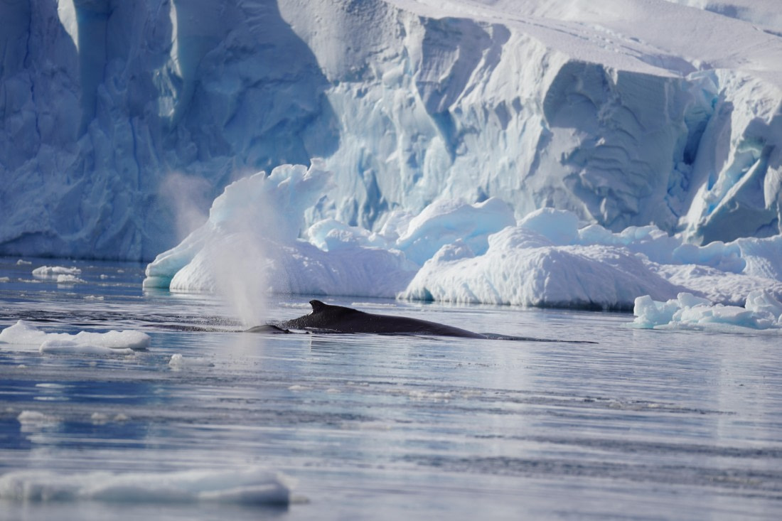 HDS29-26, Day 16, DSC00908 © Jessica Bakker - Oceanwide Expeditions.JPG