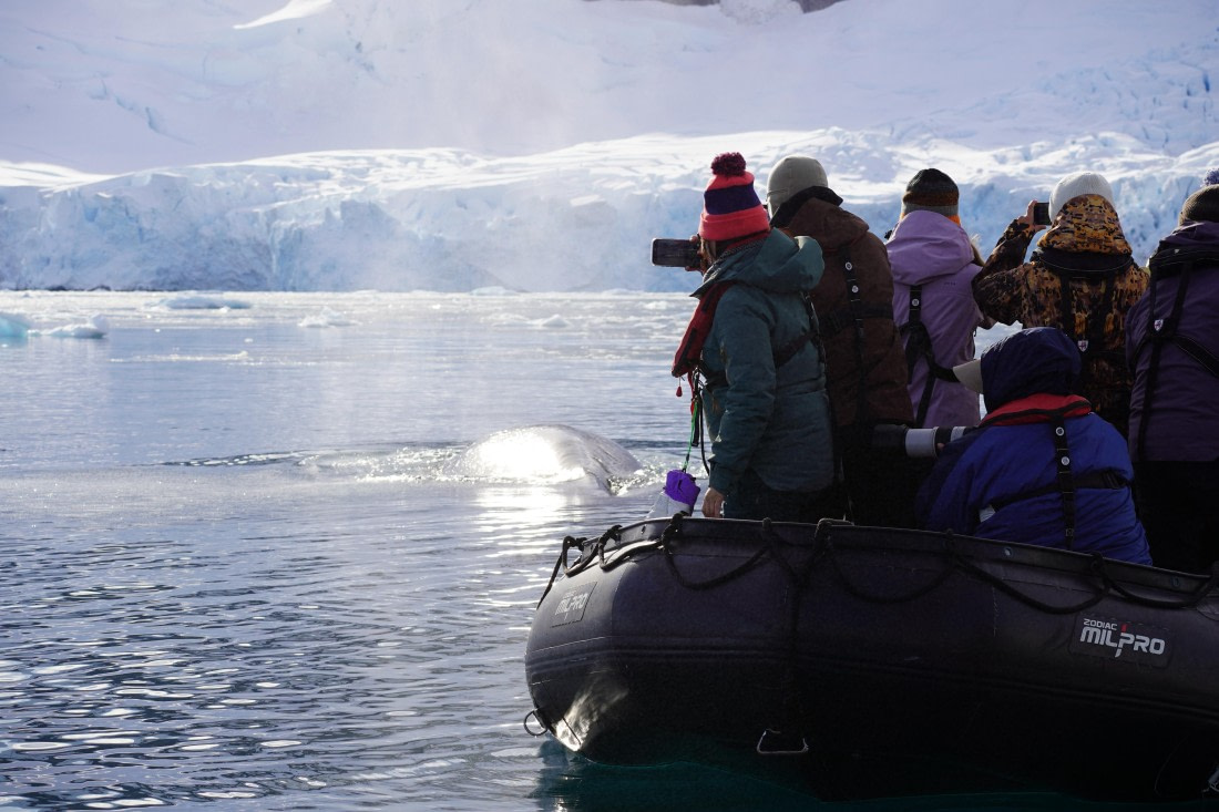 HDS29-26, Day 16, DSC01001 © Jessica Bakker - Oceanwide Expeditions.JPG