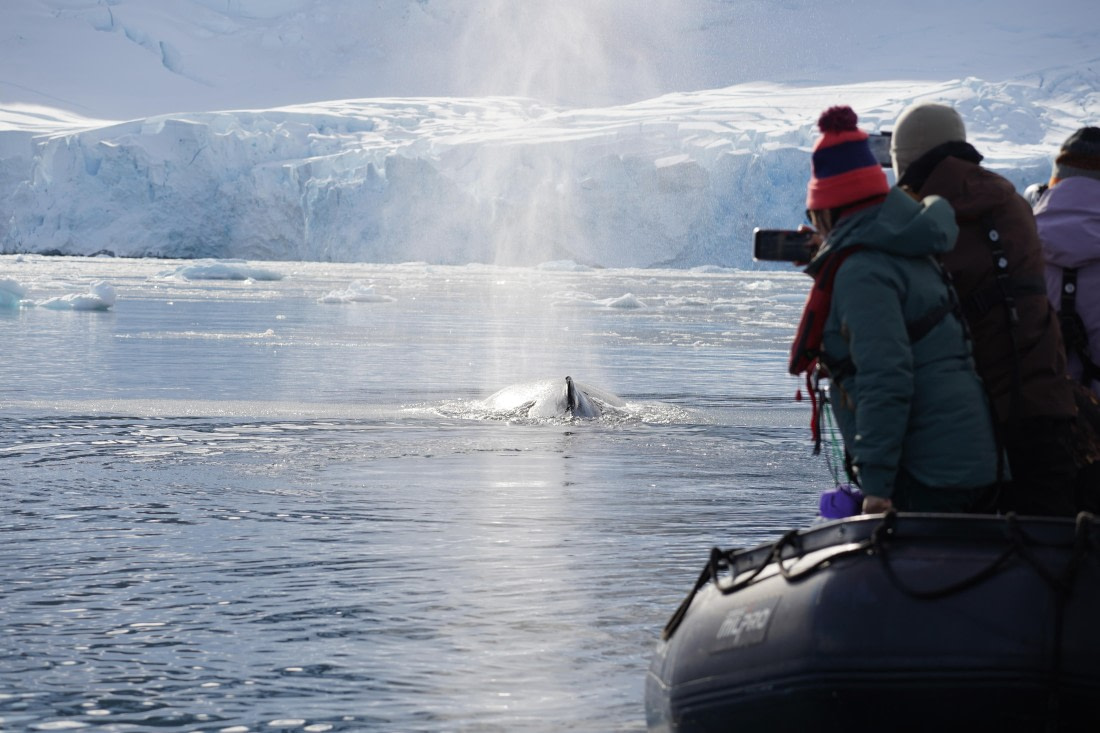 HDS29-26, Day 16, DSC01008 © Jessica Bakker - Oceanwide Expeditions.JPG