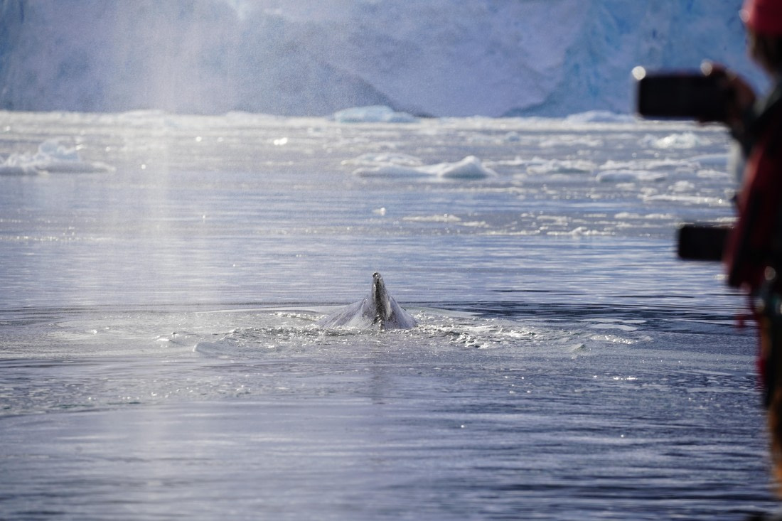 HDS29-26, Day 16, DSC01011 © Jessica Bakker - Oceanwide Expeditions.JPG