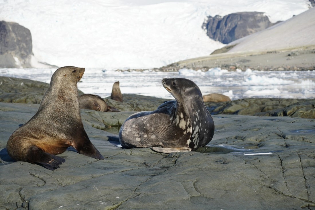 HDS29-26, Day 16, DSC01375 © Jessica Bakker - Oceanwide Expeditions.JPG