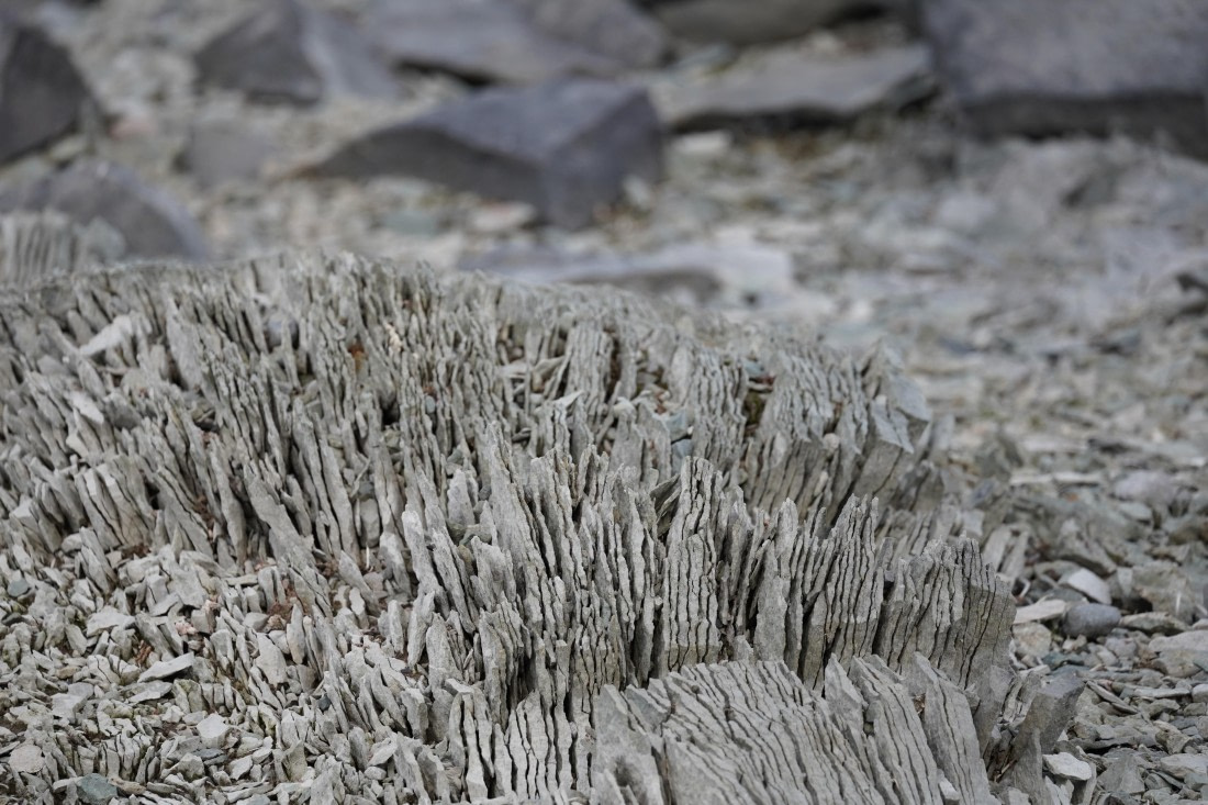 HDS29-26, Day 16, DSC01571 © Jessica Bakker - Oceanwide Expeditions.JPG