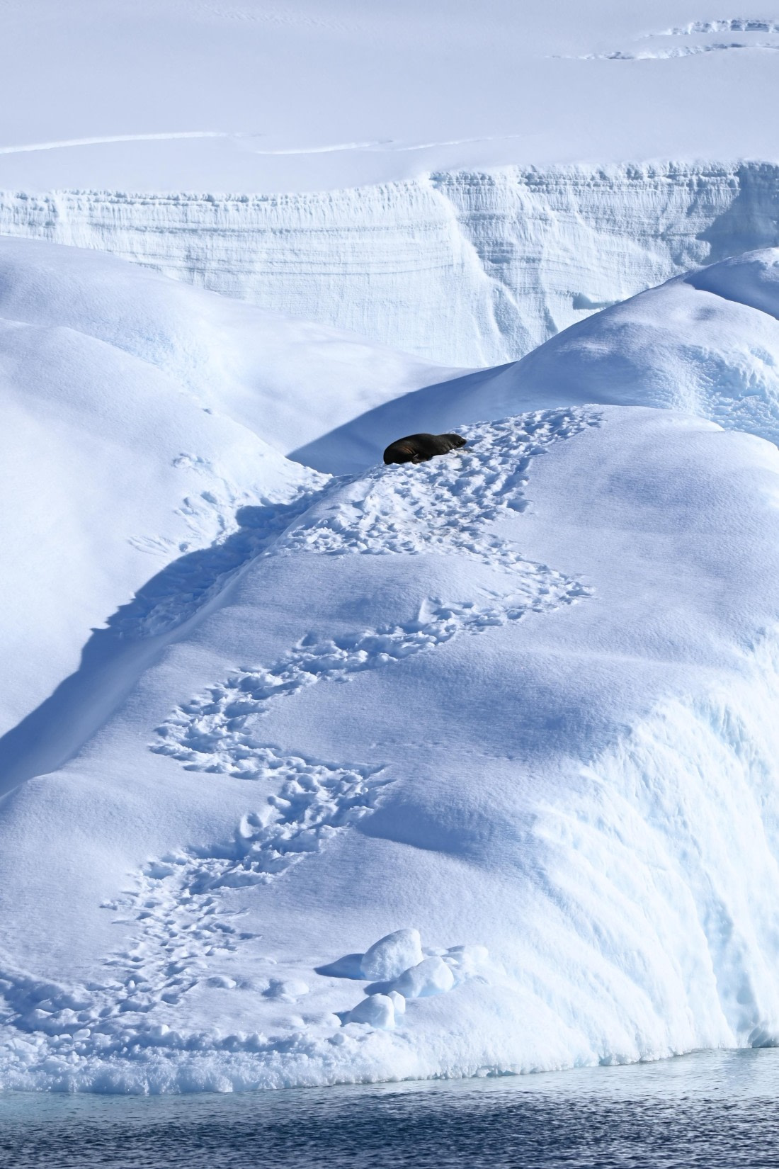 HDS29-26, Day 18, SAS_6696 © Saskia van der Meij - Oceanwide Expeditions.JPG