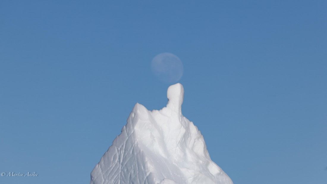 HDS29-26, Day 19, 0Q9A1907 © Martin Anstee - Oceanwide Expeditions.jpg