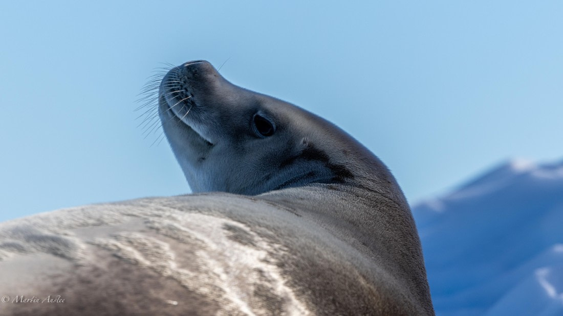HDS29-26, Day 19, 0Q9A1921 © Martin Anstee - Oceanwide Expeditions.jpg