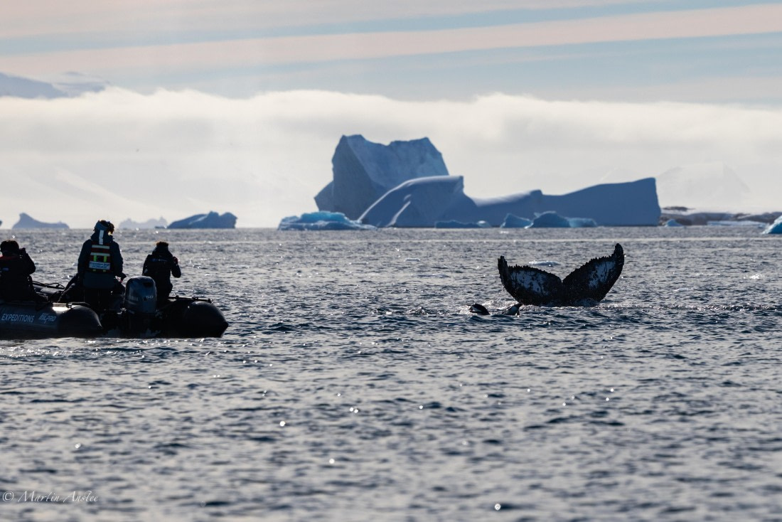 HDS29-26, Day 19, 0Q9A2240 © Martin Anstee - Oceanwide Expeditions.jpg