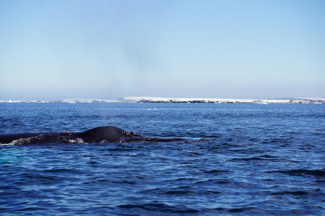 HDS29-26, Day 19, DSC02989 © Jessica Bakker - Oceanwide Expeditions.JPG