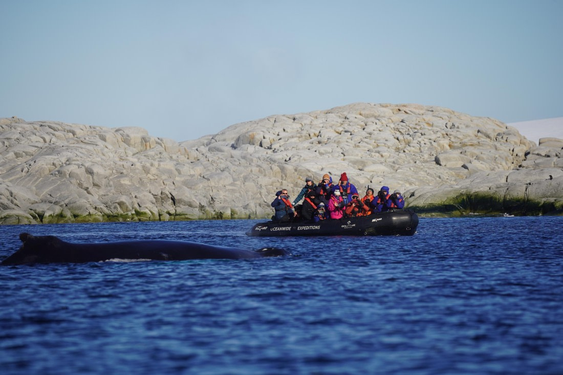 HDS29-26, Day 19, DSC03364 © Jessica Bakker - Oceanwide Expeditions.JPG