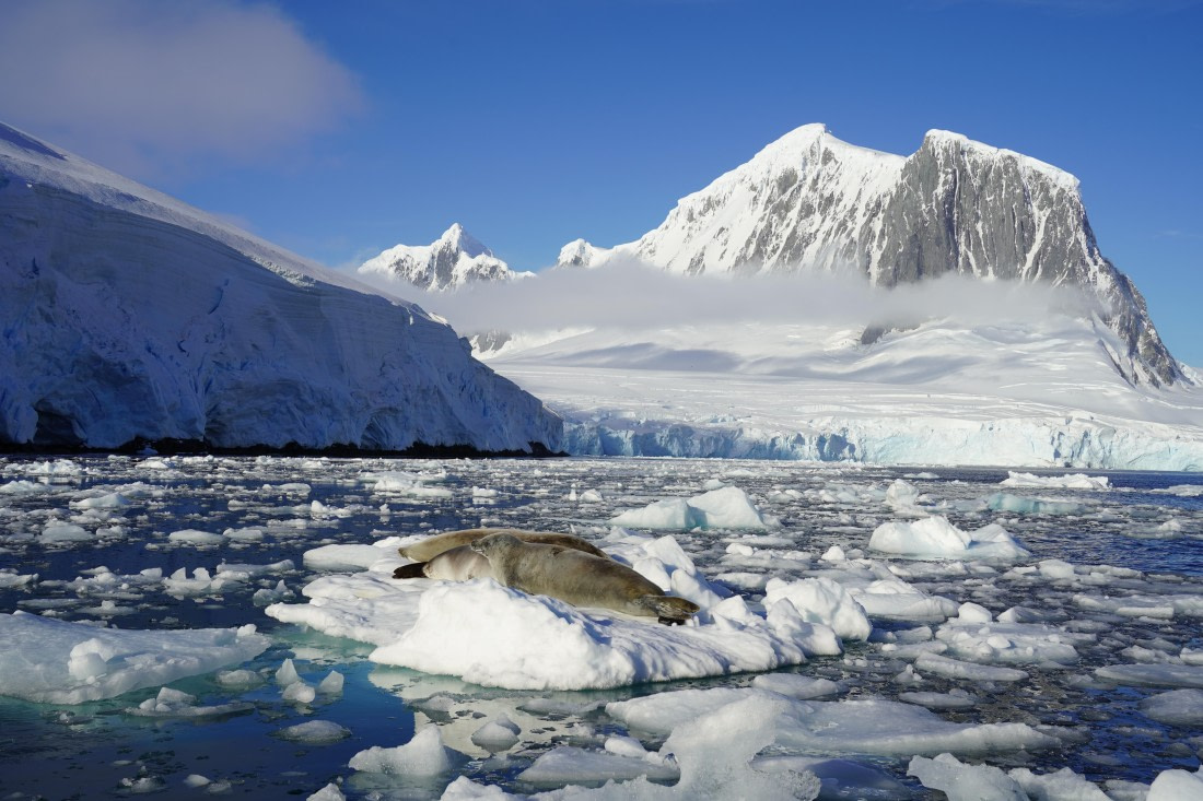 HDS29-26, Day 19, DSC03617 © Jessica Bakker - Oceanwide Expeditions.JPG