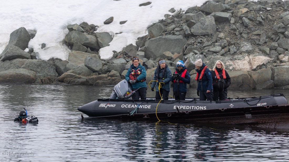 HDS29-26, Day 20, 0Q9A3293 © Martin Anstee - Oceanwide Expeditions.jpg