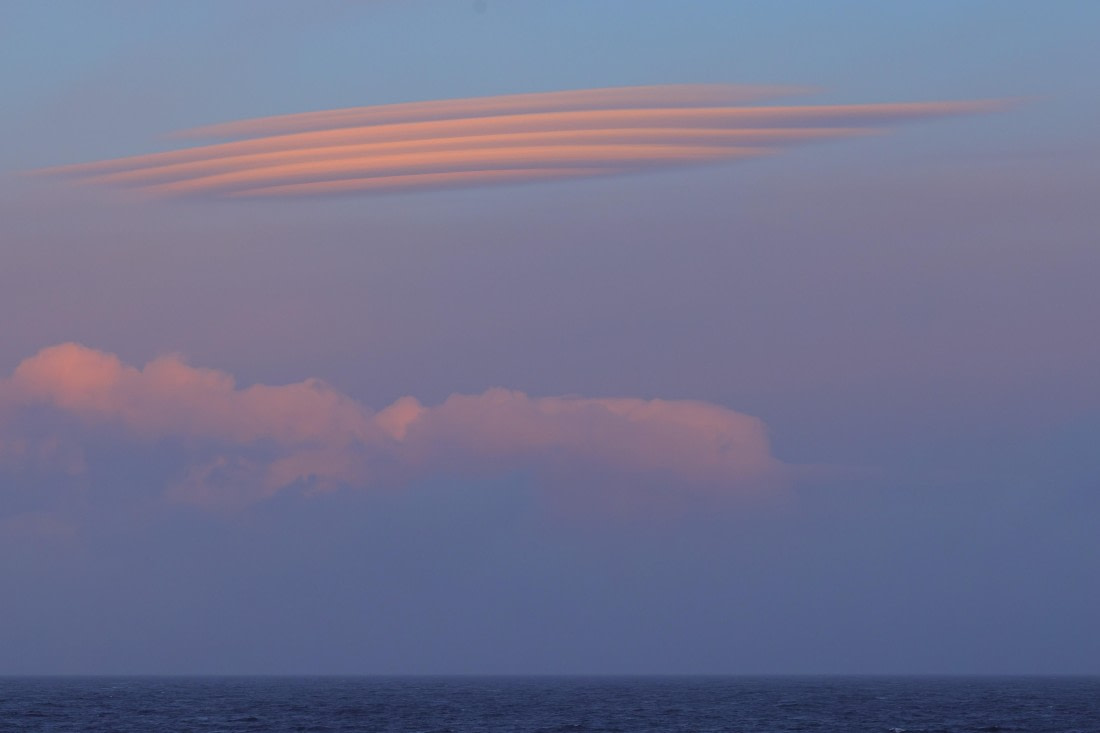 Altocumulus lenticularis at dawn