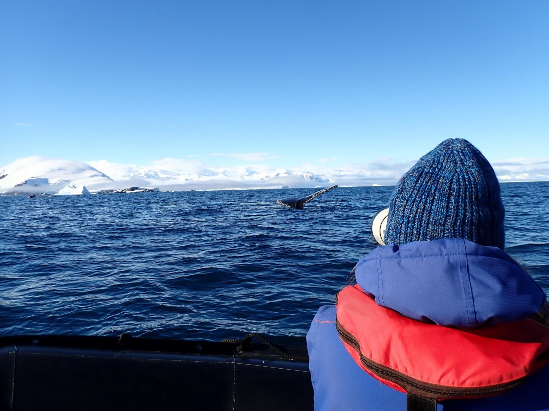 Catching the truely wowing experience