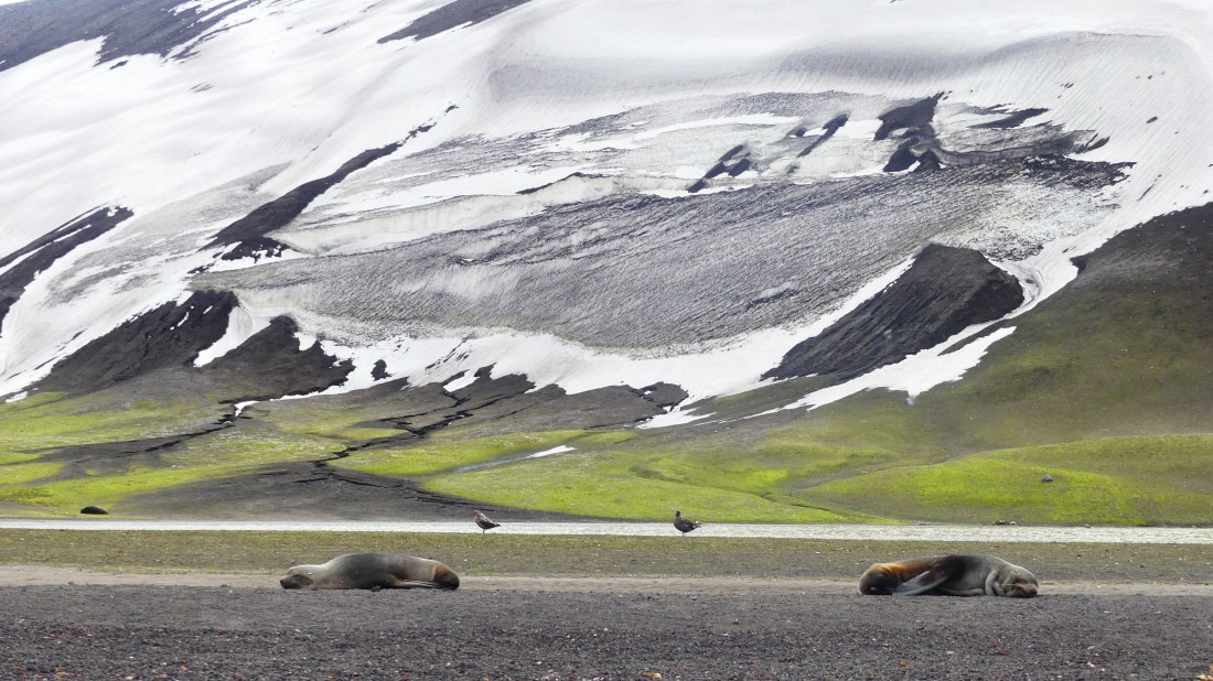 mirrored @whalers bay