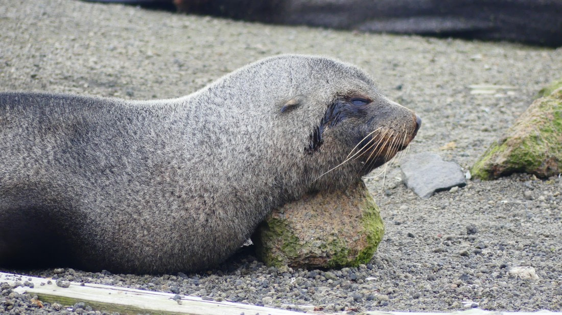 Please do not disturb