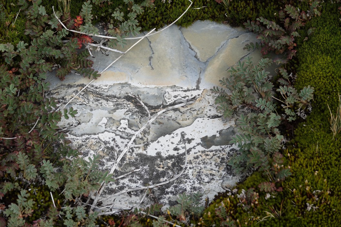 The Stony Treasure Map