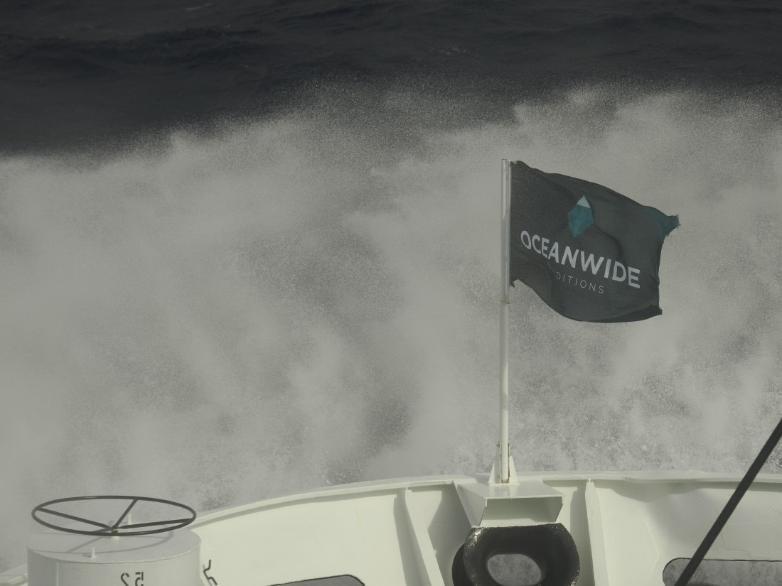 OTL30b26, Day 2, APMG8790.JPG © Andy Perkins - Oceanwide Expeditions.JPG