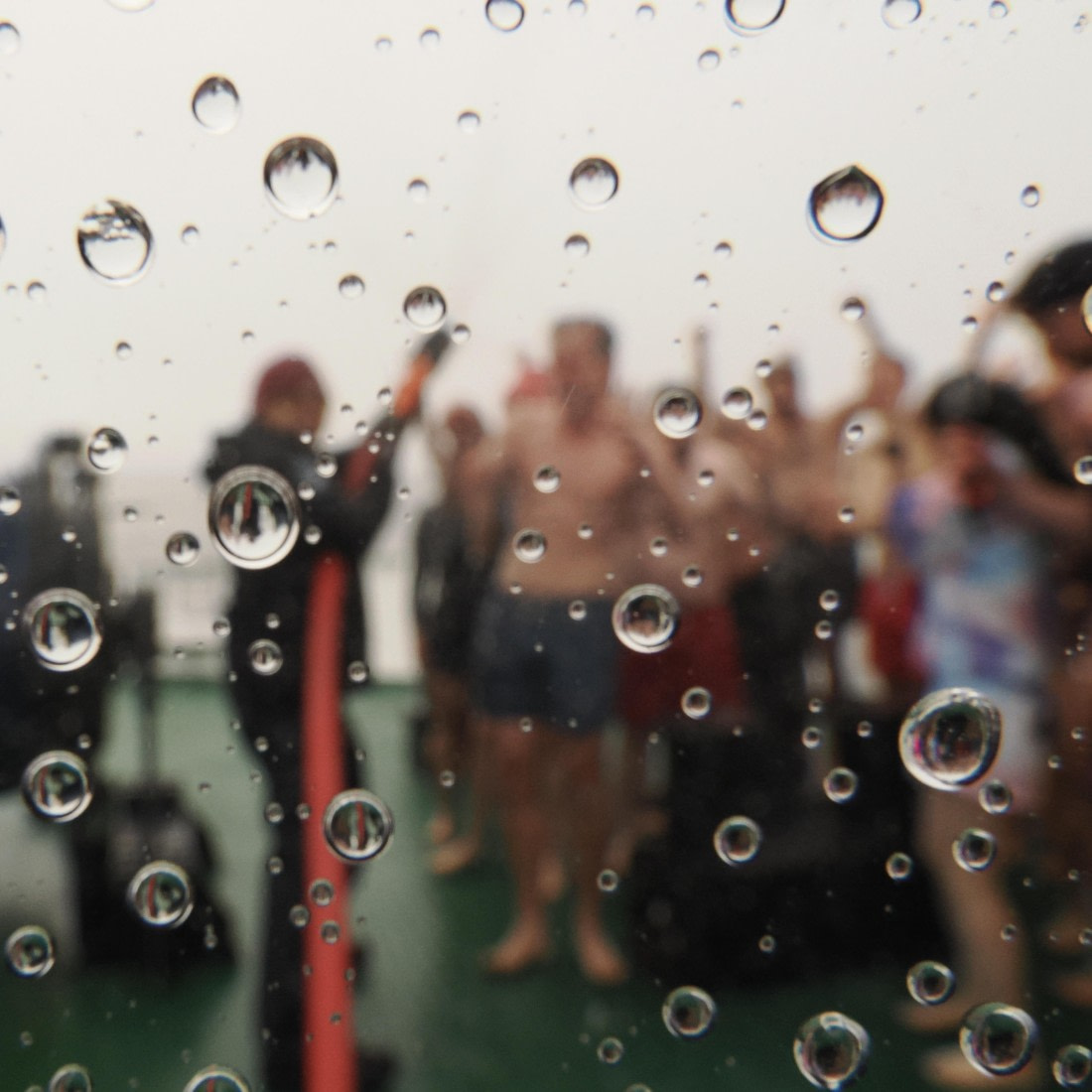 OTL30b26, Day 4, APMG8985.JPG © Andy Perkins - Oceanwide Expeditions.JPG