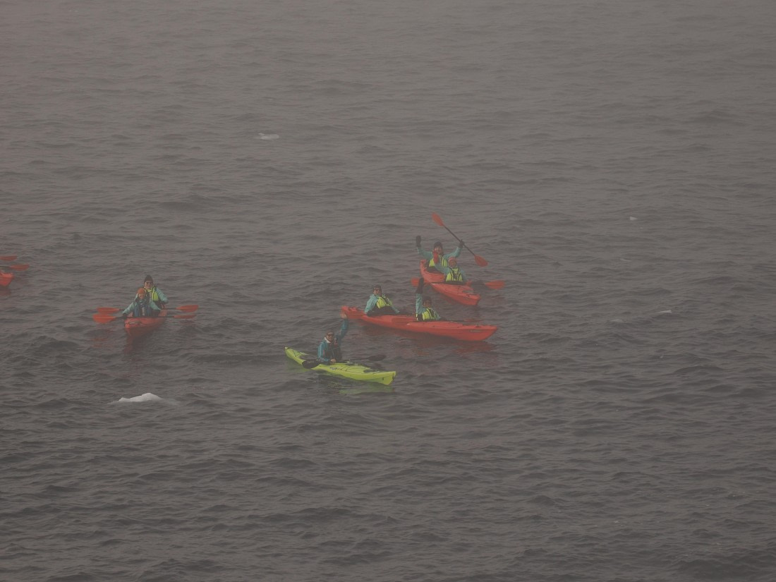 OTL30b26, Day 4, APMG9019.JPG © Andy Perkins - Oceanwide Expeditions.JPG