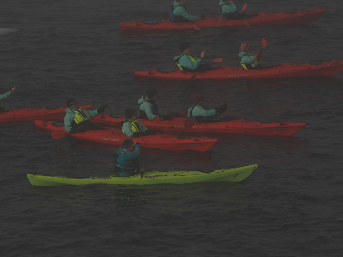 OTL30b26, Day 4, APMG9028.JPG © Andy Perkins - Oceanwide Expeditions.JPG