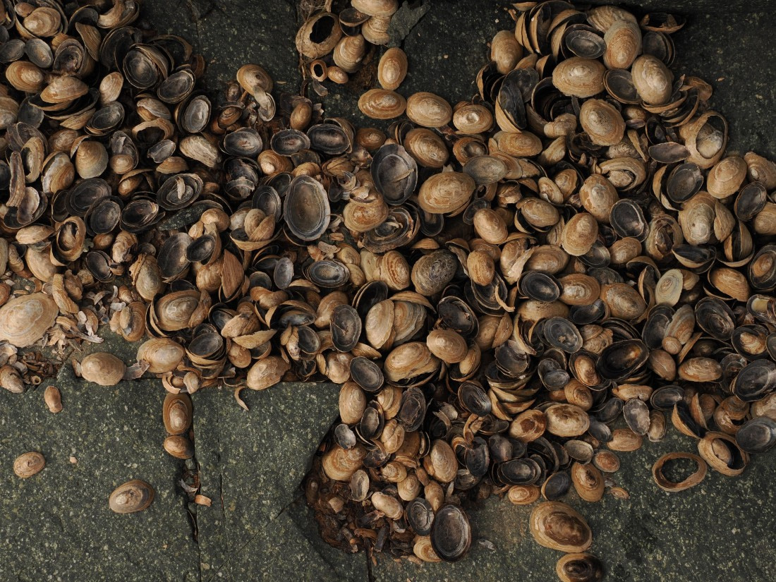 OTL30b26, Day 4, APMG9037.JPG © Andy Perkins - Oceanwide Expeditions.JPG