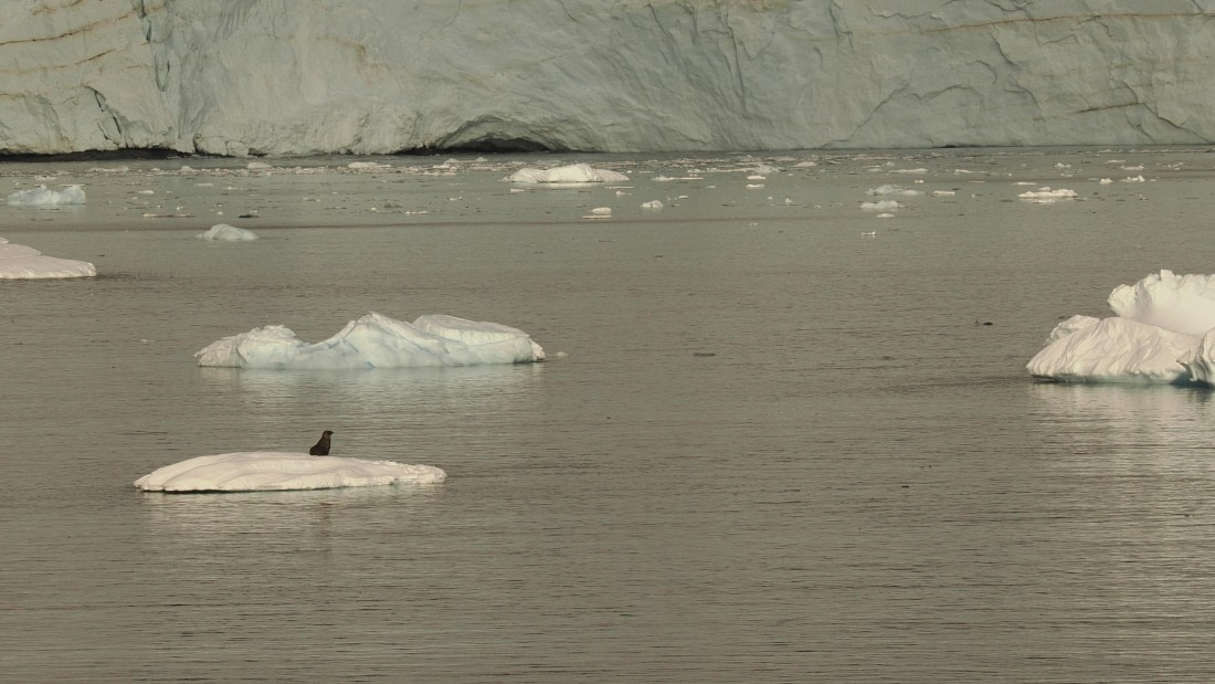 OTL30b26, Day 5, APMG9060.JPG © Andy Perkins - Oceanwide Expeditions.JPG