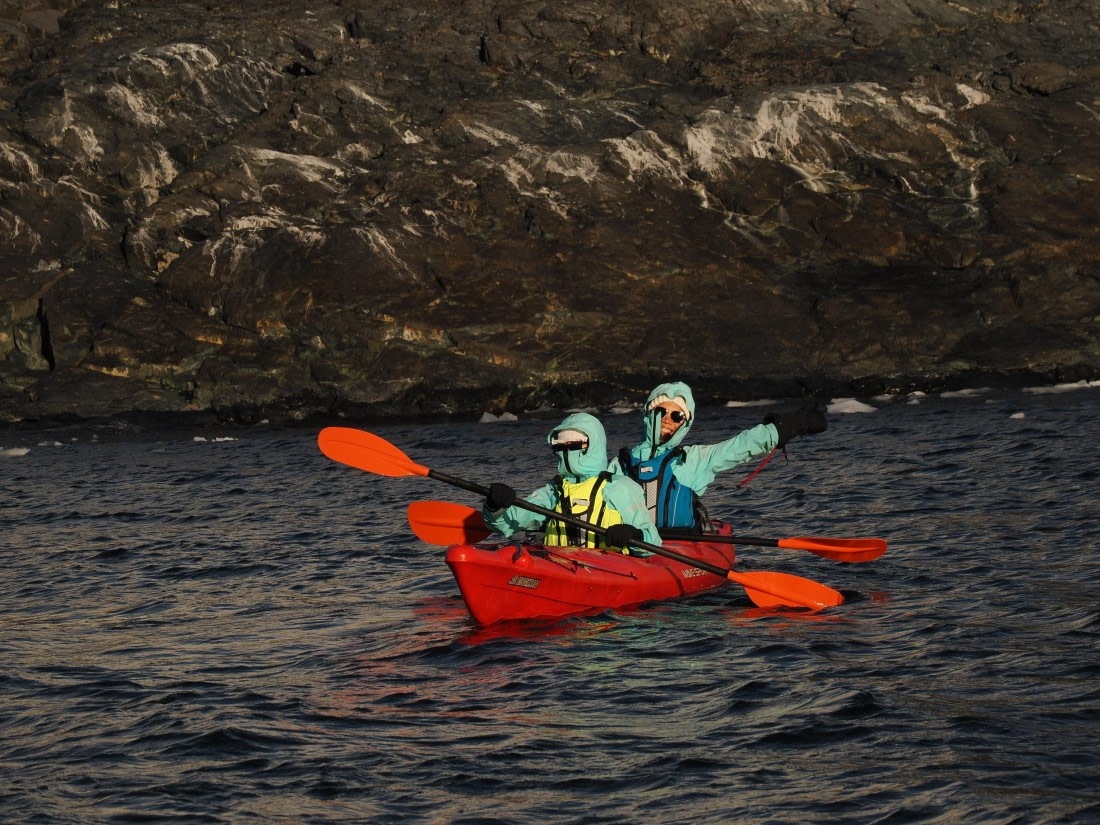 OTL30b26, Day 5, APMG9175.JPG © Andy Perkins - Oceanwide Expeditions.JPG