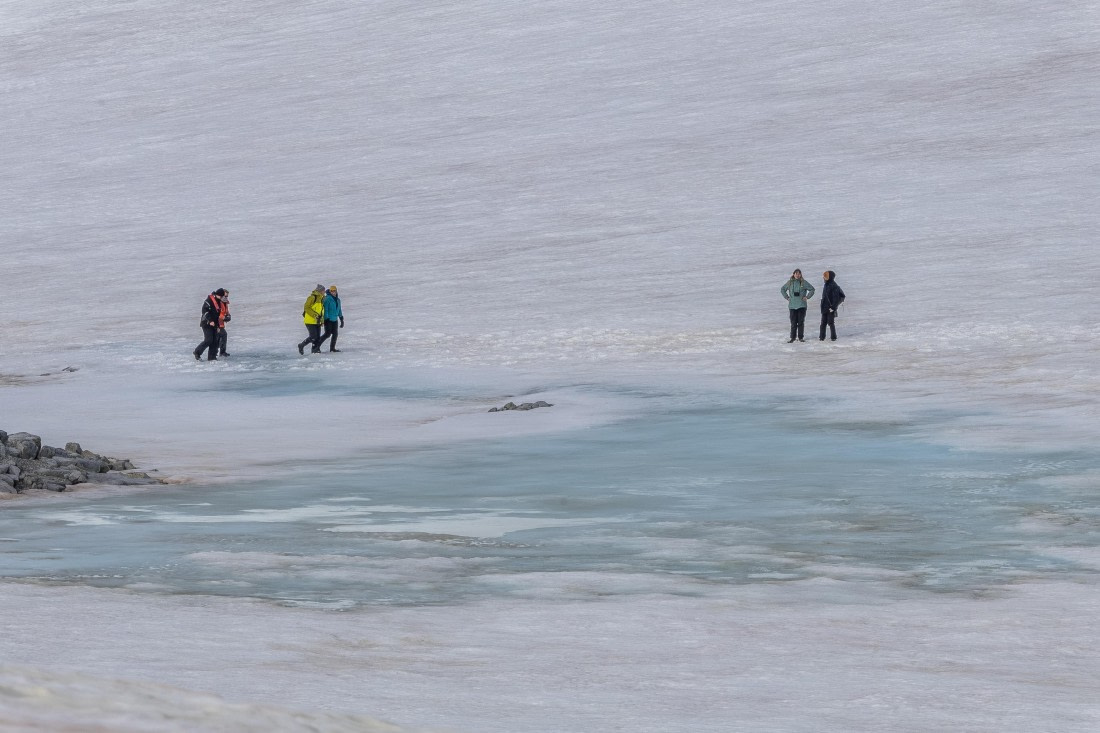 HDS30-26, Day 4, 5D5A0777 © Koen Jongerling - Oceanwide Expeditions.jpg