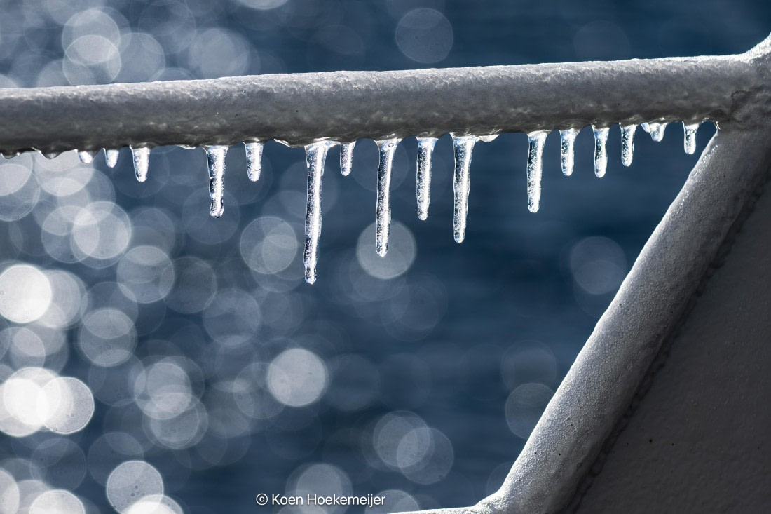 OTL30b26, Day 5, DSC_2618-Edit.jpg © Koen Hoekemeijer - Oceanwide Expeditions.jpg