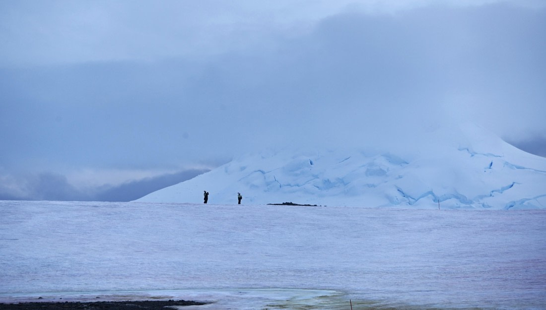 HDS30-26, Day 4, SAS_7275 - Damoy © Saskia van der Meij - Oceanwide Expeditions.JPG