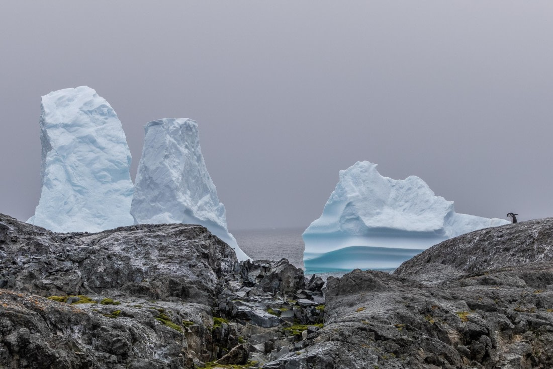 HDS30-26, Day 5, 5D5A0822 © Koen Jongerling - Oceanwide Expeditions.jpg