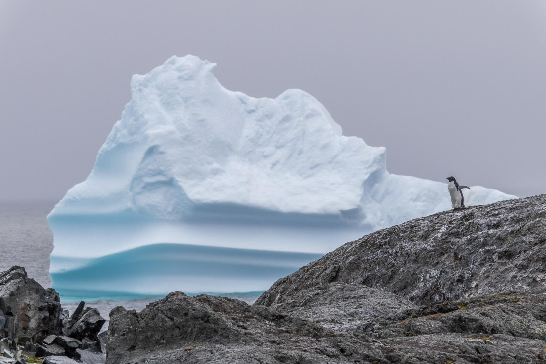 HDS30-26, Day 5, 5D5A0823 © Koen Jongerling - Oceanwide Expeditions.jpg