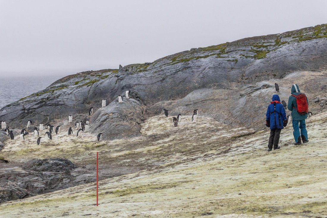 HDS30-26, Day 5, 5D5A0827 © Koen Jongerling - Oceanwide Expeditions.jpg