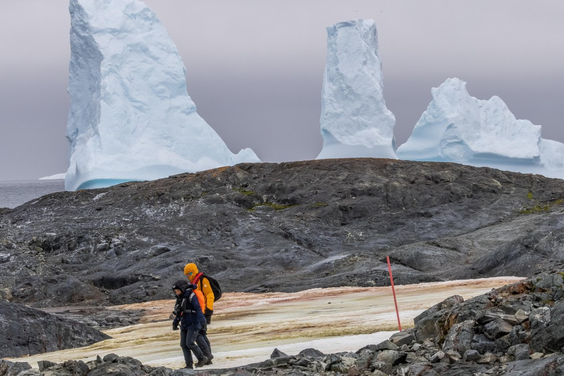 HDS30-26, Day 5, 5D5A0844 © Koen Jongerling - Oceanwide Expeditions.jpg