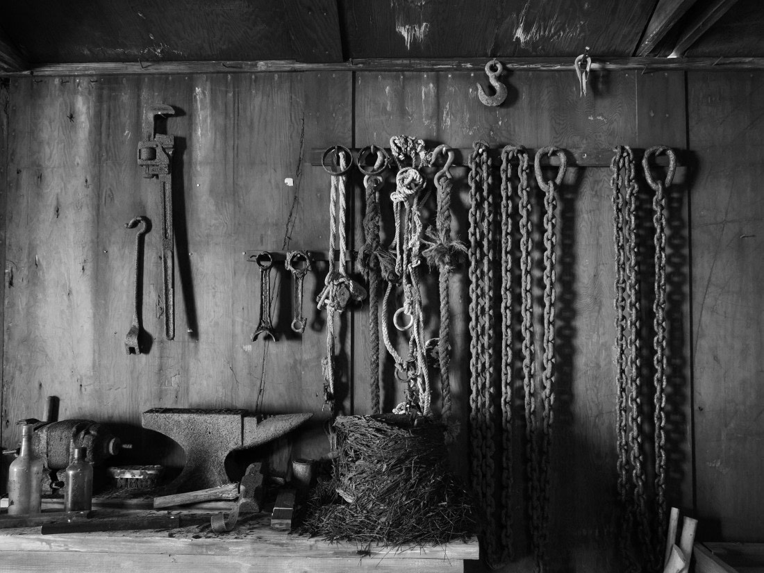 OTL30b26, Day 7, APMG9322.JPG © Andy Perkins - Oceanwide Expeditions.JPG