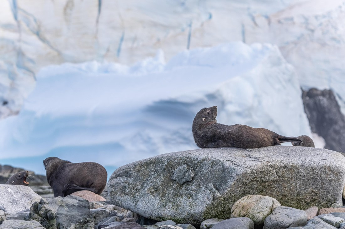HDS30-26, Day 7, 5D5A0936 © Koen Jongerling - Oceanwide Expeditions.jpg