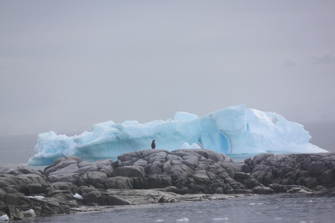 HDS30-26, Day 7, 16Mar Lucas 2 © Lucas Ellerbroek - Oceanwide Expeditions.JPG
