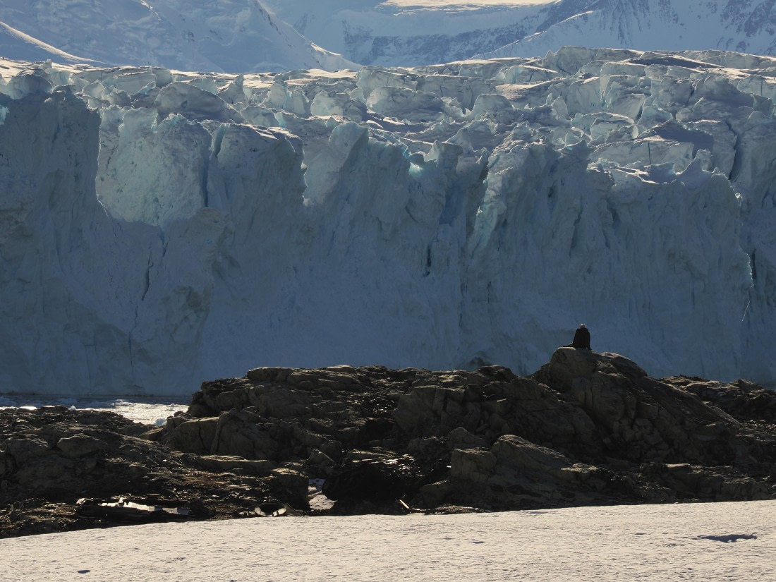 OTL30b26, Day 7, APMG9354.JPG © Andy Perkins - Oceanwide Expeditions.JPG