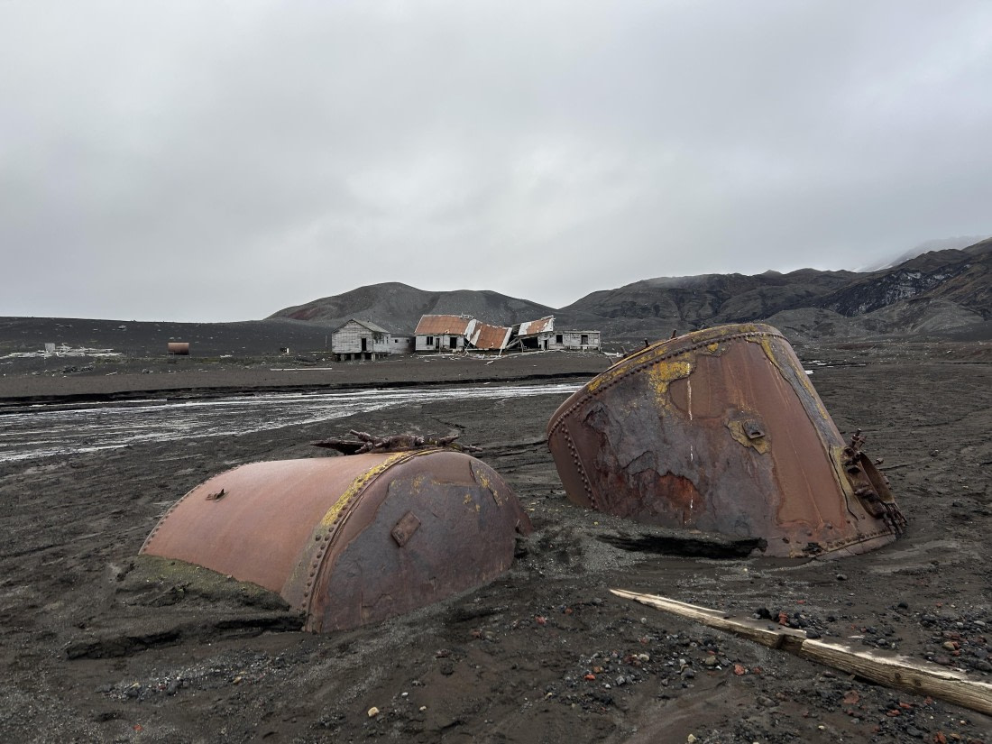 HDS30-26, Day 8, 17Mar Lucas 3 © Lucas Ellerbroek - Oceanwide Expeditions.jpeg